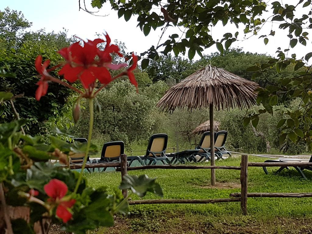 Tenuta Col Di Sasso Scarlino Luaran gambar