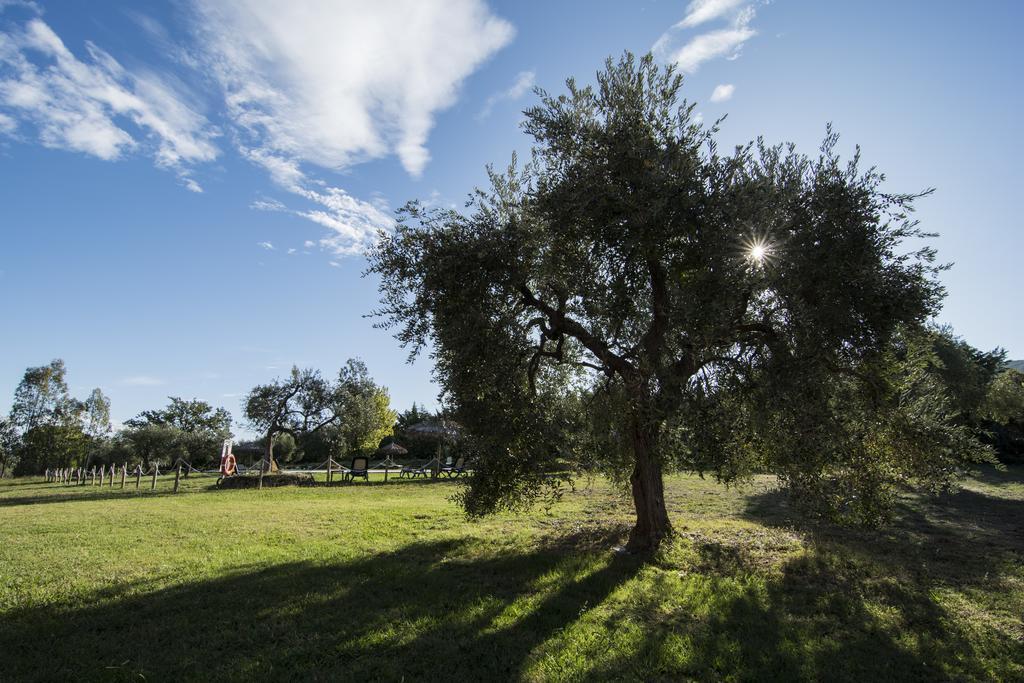 Tenuta Col Di Sasso Scarlino Luaran gambar