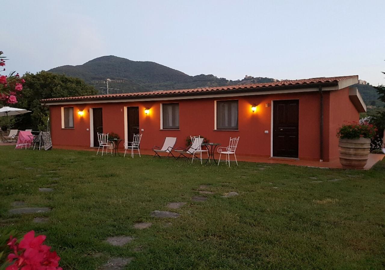 Tenuta Col Di Sasso Scarlino Luaran gambar