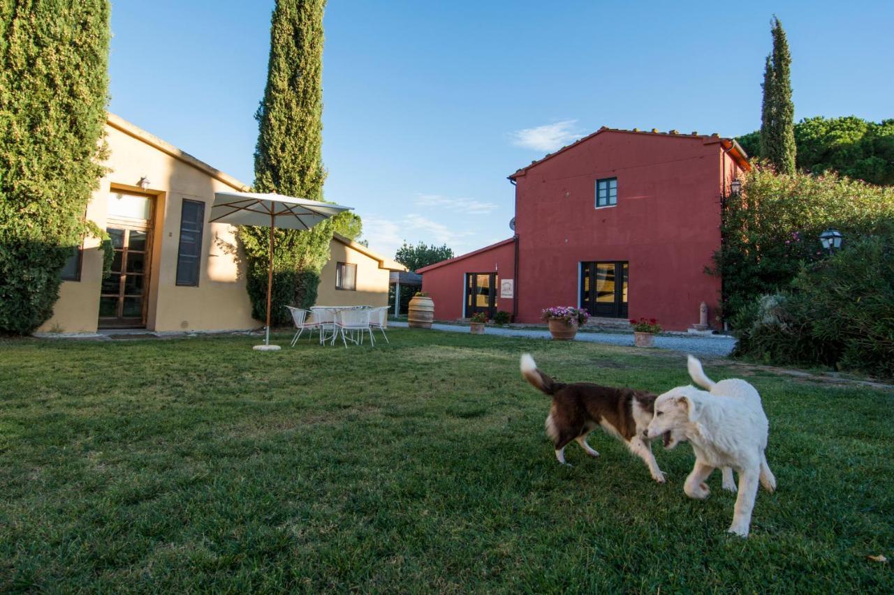 Tenuta Col Di Sasso Scarlino Luaran gambar