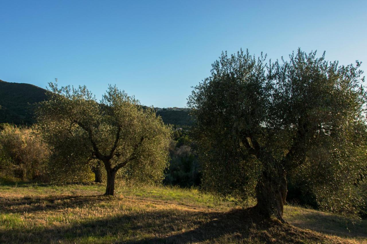 Tenuta Col Di Sasso Scarlino Luaran gambar