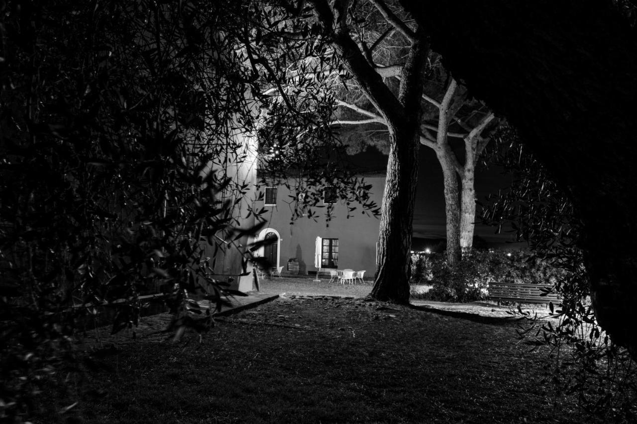 Tenuta Col Di Sasso Scarlino Luaran gambar