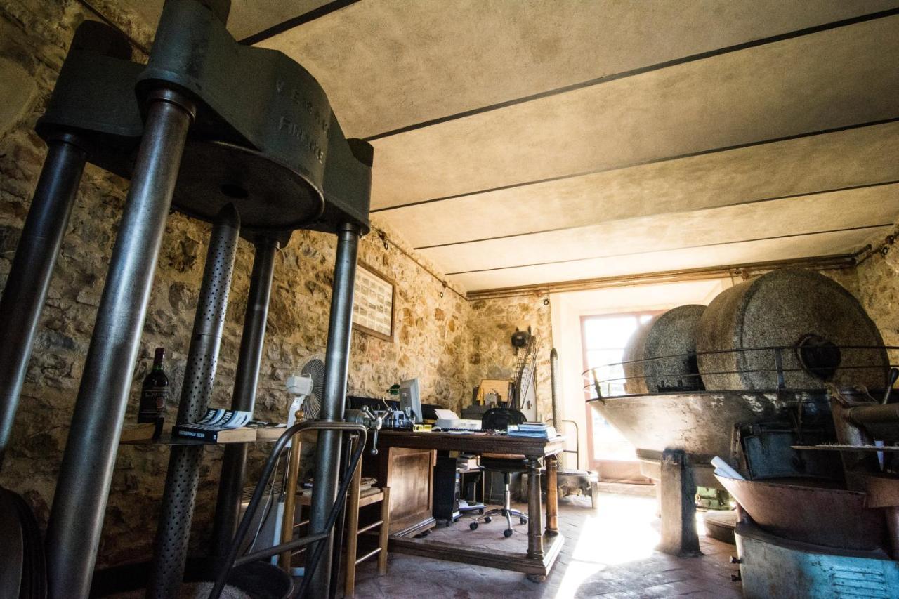 Tenuta Col Di Sasso Scarlino Luaran gambar