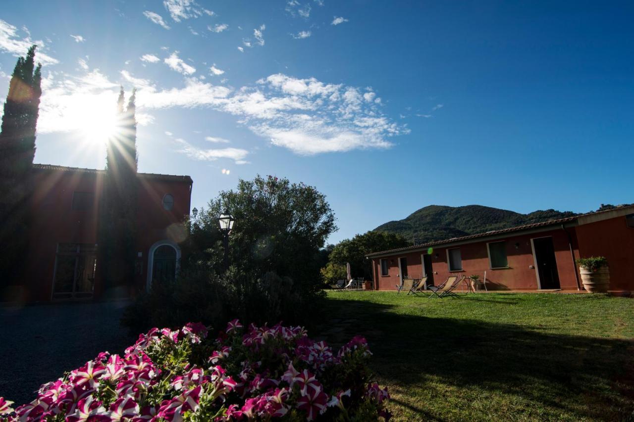 Tenuta Col Di Sasso Scarlino Luaran gambar