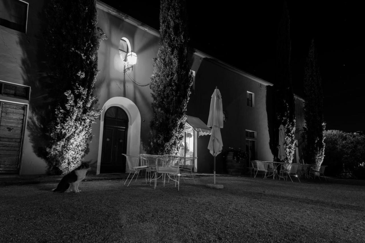 Tenuta Col Di Sasso Scarlino Luaran gambar
