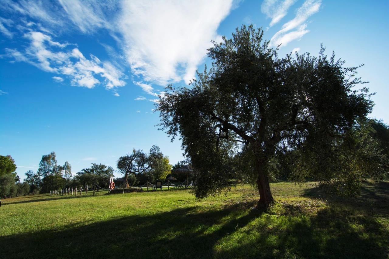 Tenuta Col Di Sasso Scarlino Luaran gambar